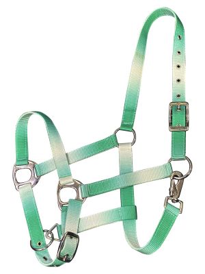Showman Premium nylon Horse sized ombre halter with nickel plated hardware #3
